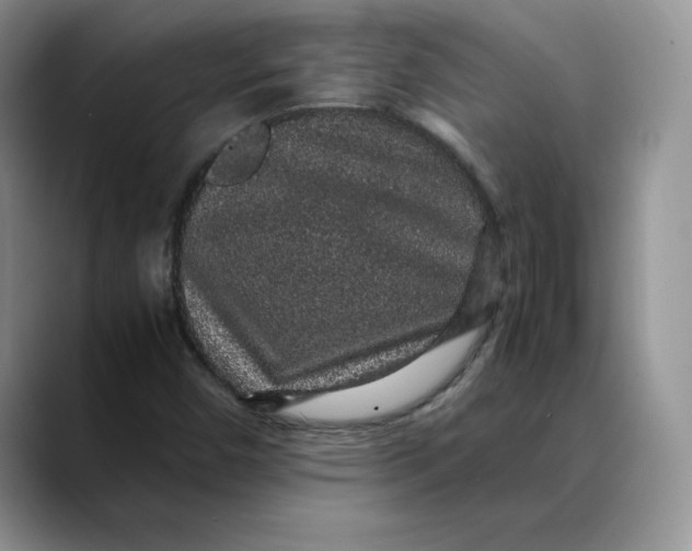 X0000088421450200706121424