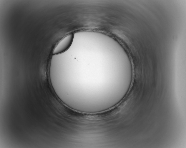 X0000088421451200706121424