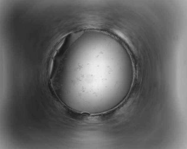 X0000088421453200706121424