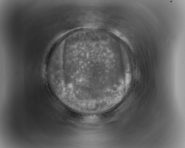X0000088421454200706121424