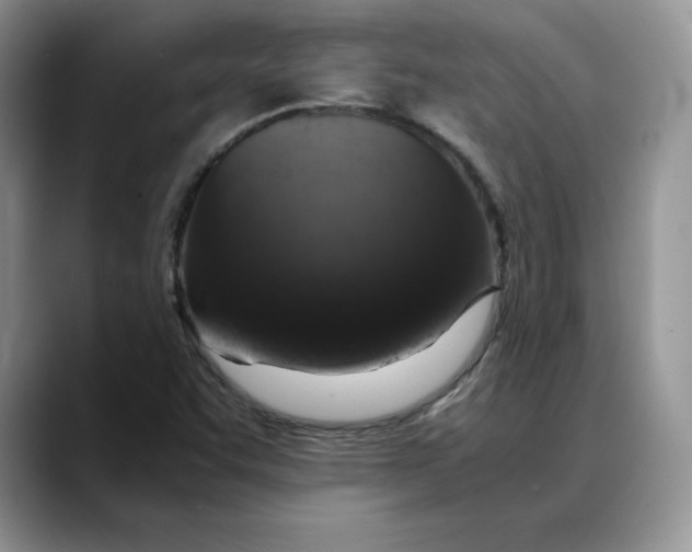 X0000088421455200706121424