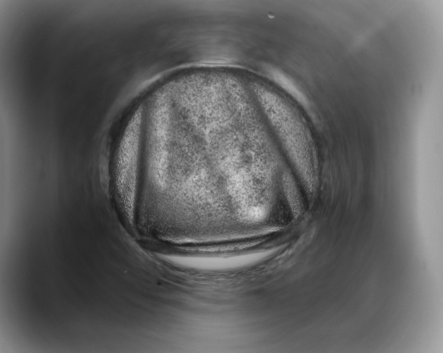 X0000088421456200706121424