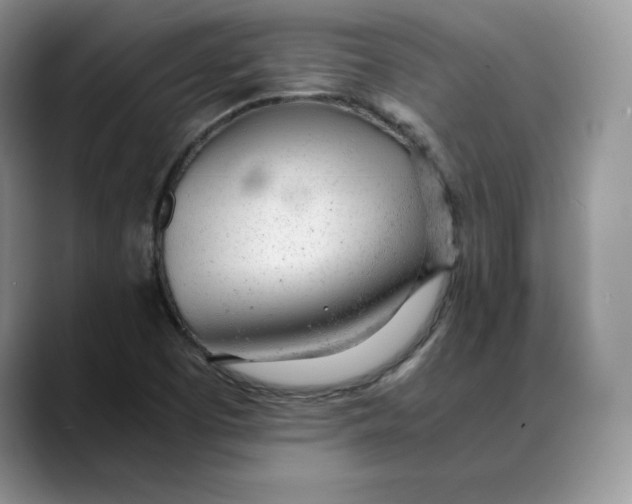 X0000088421457200706121424