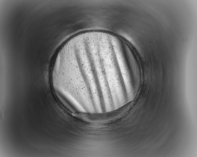 X0000088421460200706121424