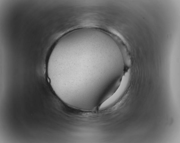 X0000088421461200706121424