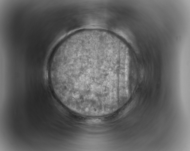 X0000088421462200706121424