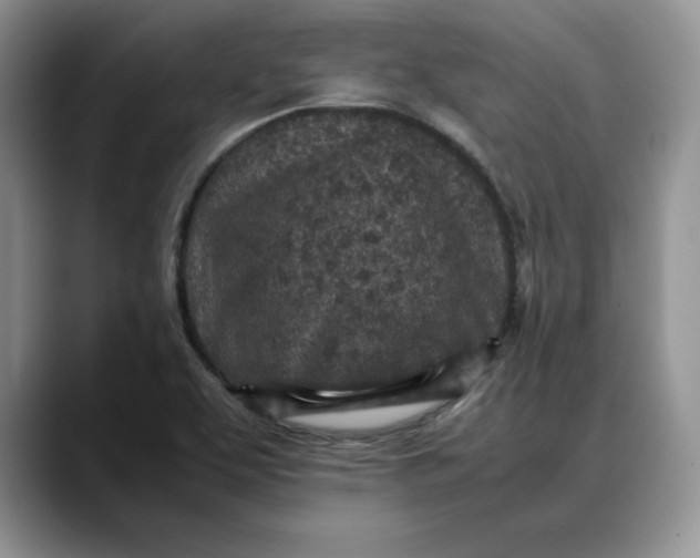 X0000088421463200706121424