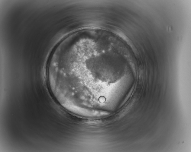 X0000088421466200706121424