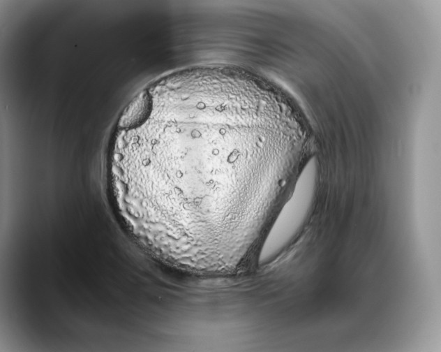 X0000088421467200706121424