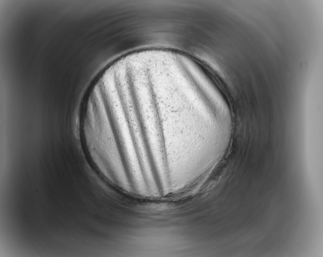 X0000088421468200706121424