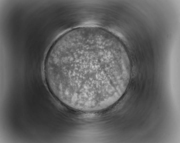 X0000088421470200706121424