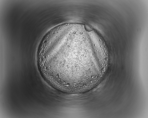 X0000088421471200706121424