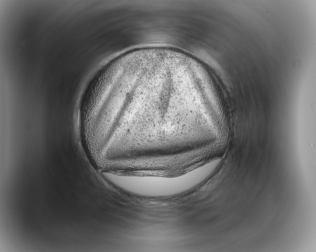 X0000088421472200706121424