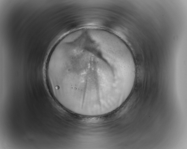 X0000088421474200706121423