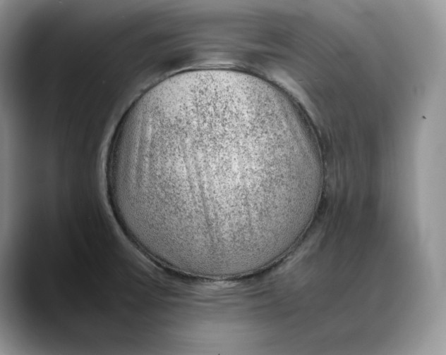 X0000088421475200706121423