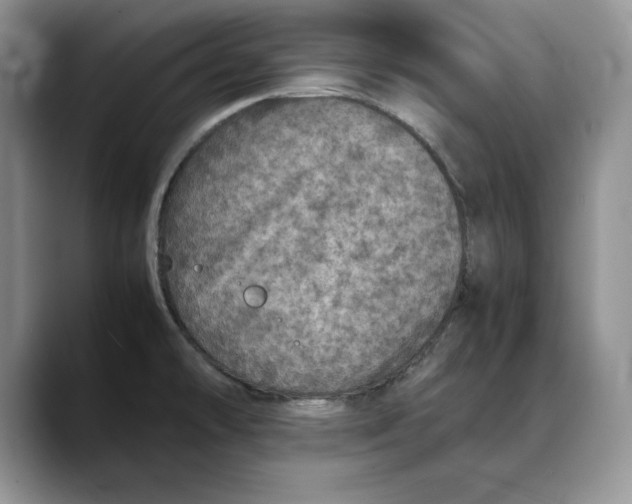 X0000088421478200706121423
