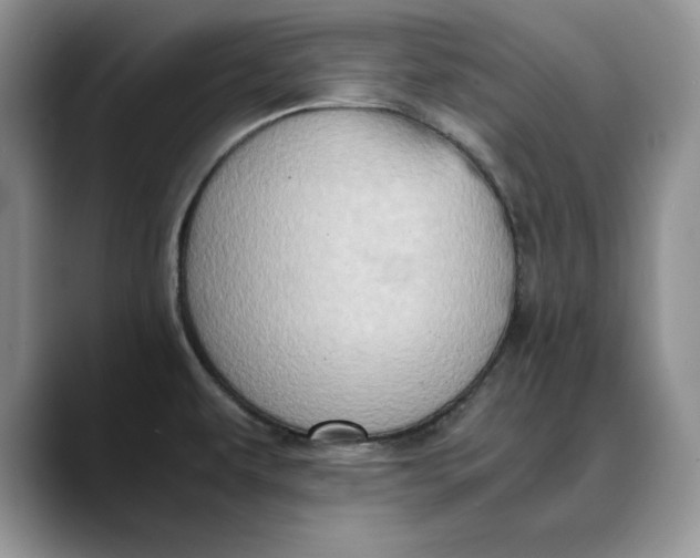 X0000088421479200706121423