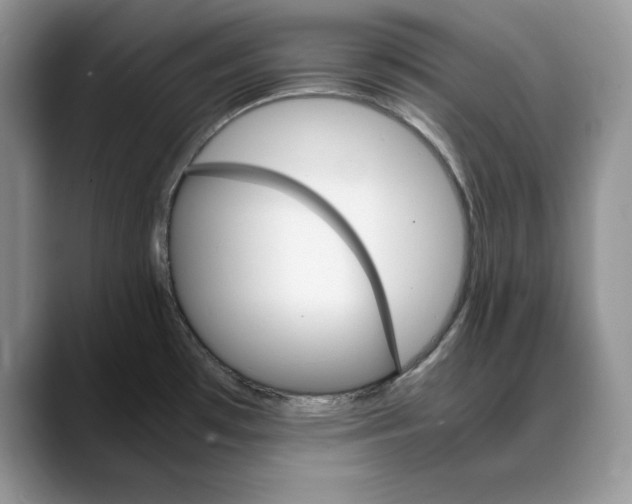 X0000088421481200706121423
