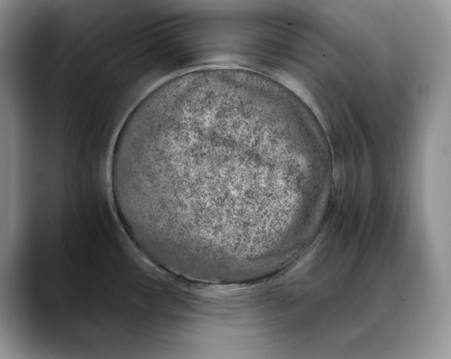 X0000088421482200706121423
