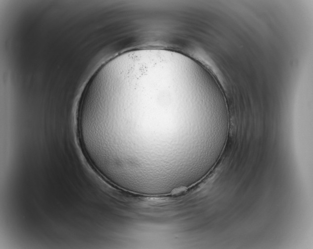 X0000088421483200706121423