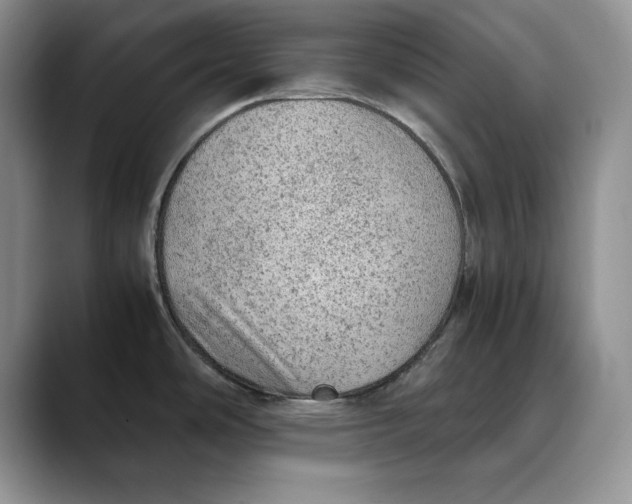 X0000088421486200706121423