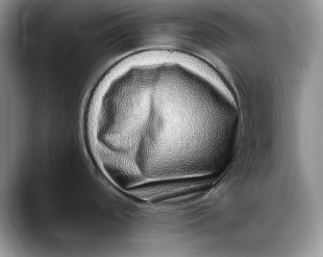 X0000088421488200706121423