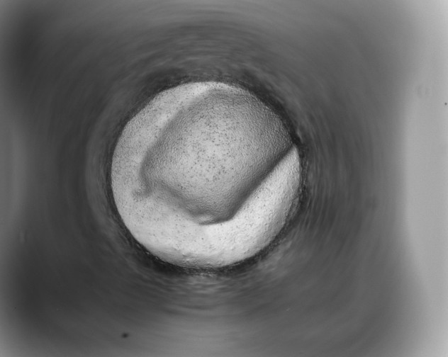 X0000088421489200706121423