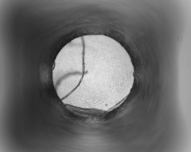 X0000088421490200706121423