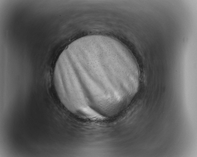 X0000088421493200706121423