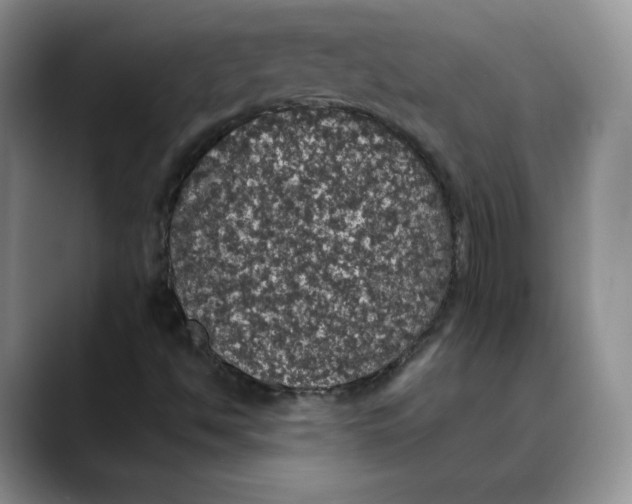 X0000088421494200706121423