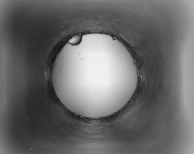 X0000088421495200706121423