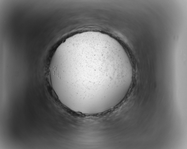 X0000088421496200706121423