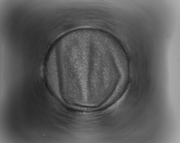 X0000088421497200706121423