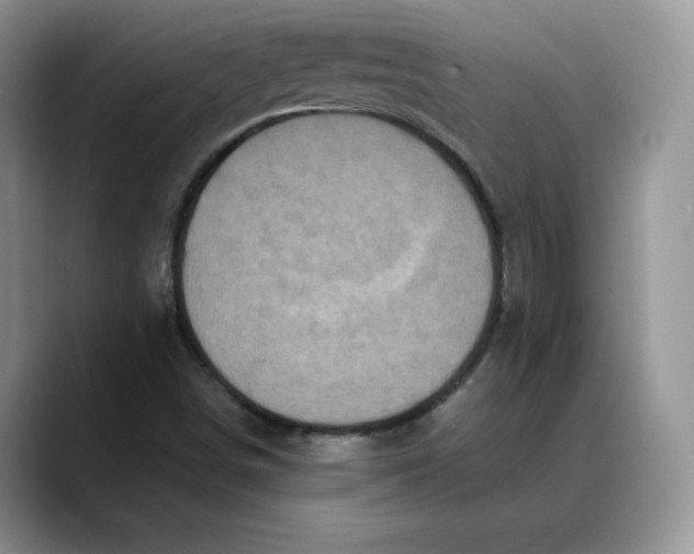 X0000088421498200706121423