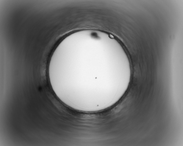 X0000088421499200706121423