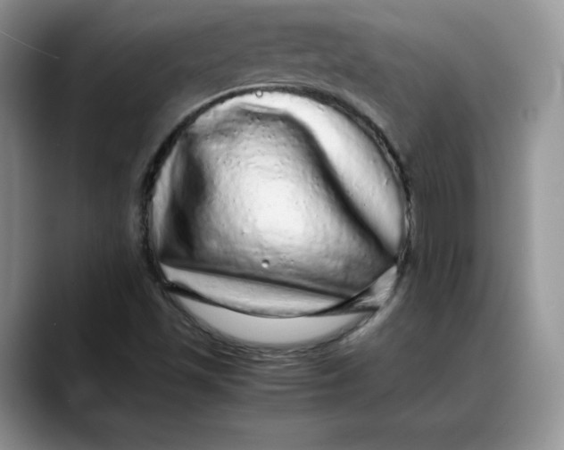 X0000088421501200706121423