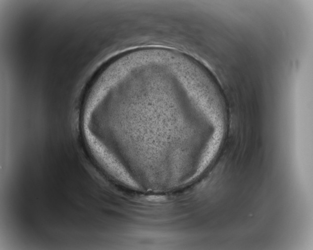 X0000088421503200706121423