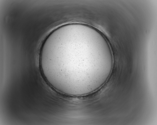 X0000088421504200706121423