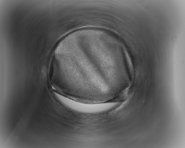 X0000088421505200706121423