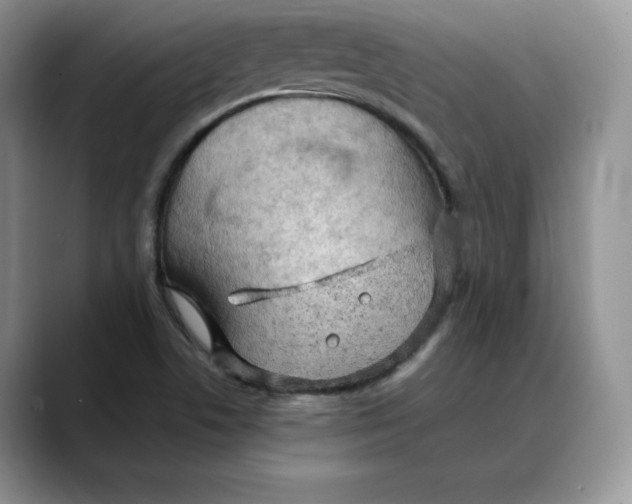 X0000088421506200706121423