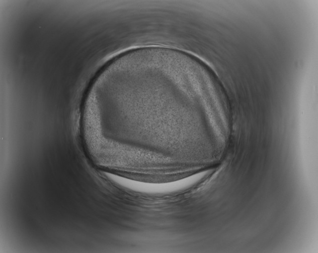 X0000088421507200706121423