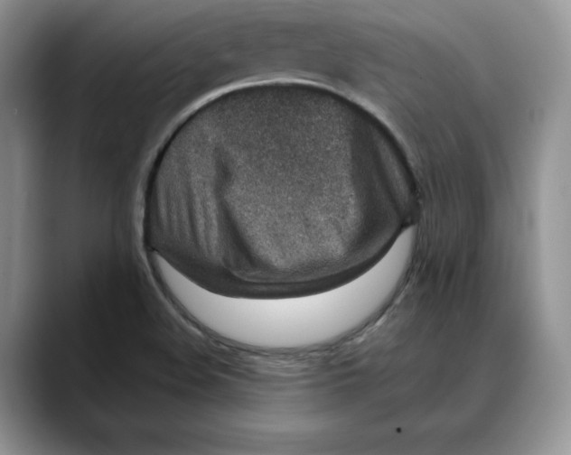 X0000088421508200706121423