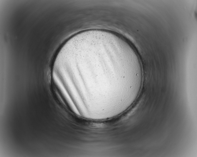 X0000088421509200706121423