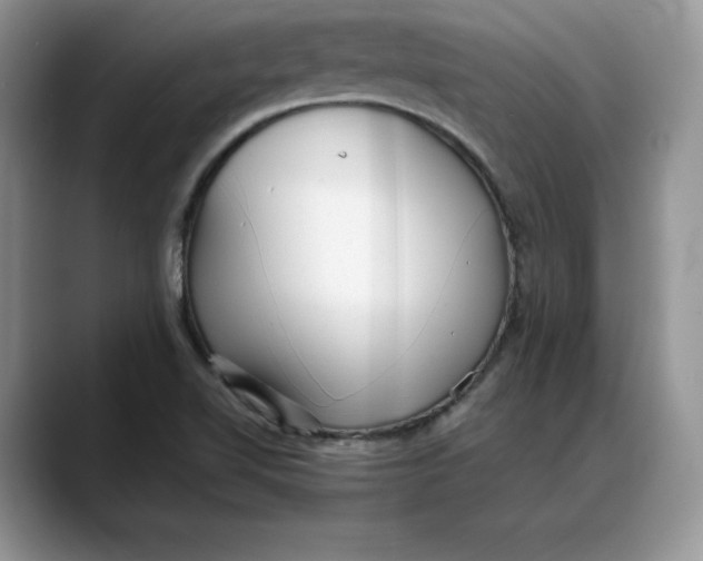 X0000088421510200706121423