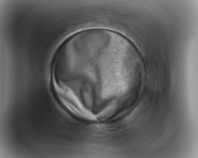 X0000088421511200706121423