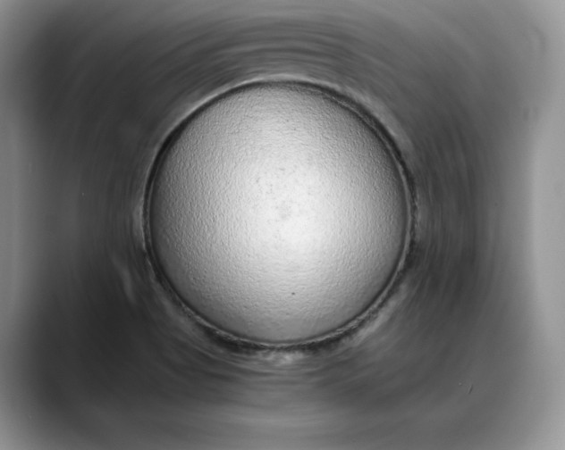 X0000088421513200706121423