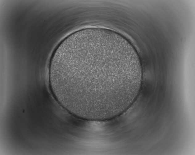 X0000088421514200706121423