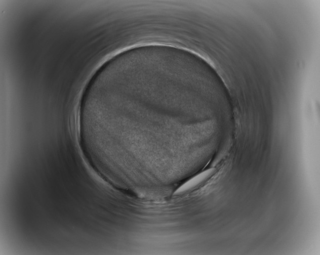X0000088421515200706121423