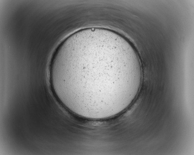 X0000088421517200706121423