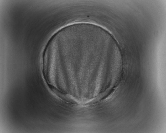 X0000088421519200706121423